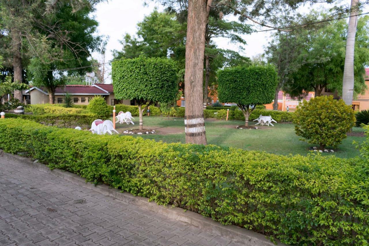Rwenzori International Hotel カセセ エクステリア 写真